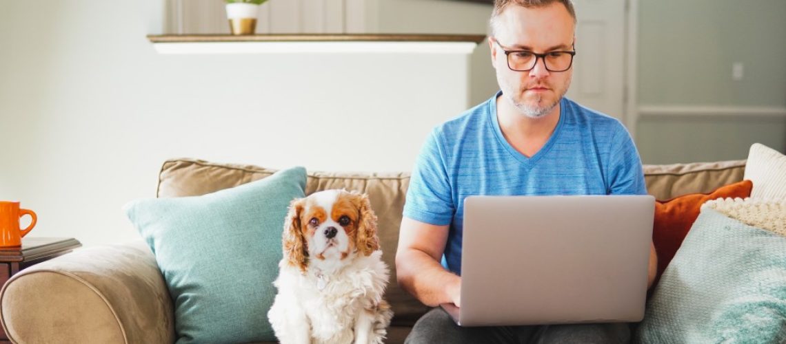 business-man-working-from-home-on-laptop-computer-telecommuting-on-couch-working-remote-with-puppy_t20_BmLZer